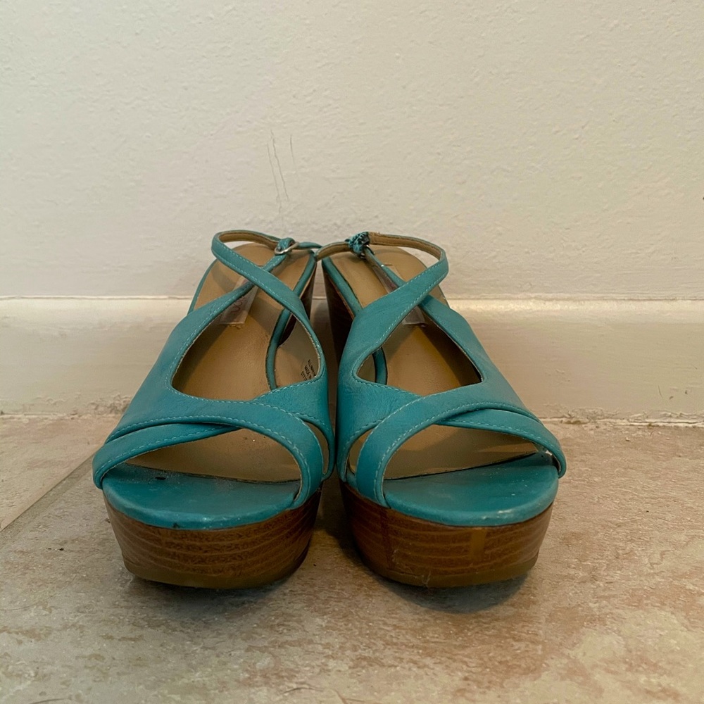 Blue wedges